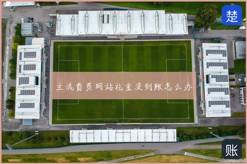 主流首页网站礼金没到账怎么办