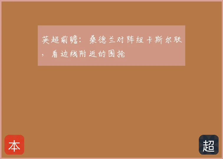 英超前瞻：桑德兰对阵纽卡斯尔联，看边线附近的围抢