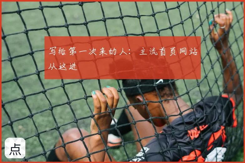 写给第一次来的人：主流首页网站从这进