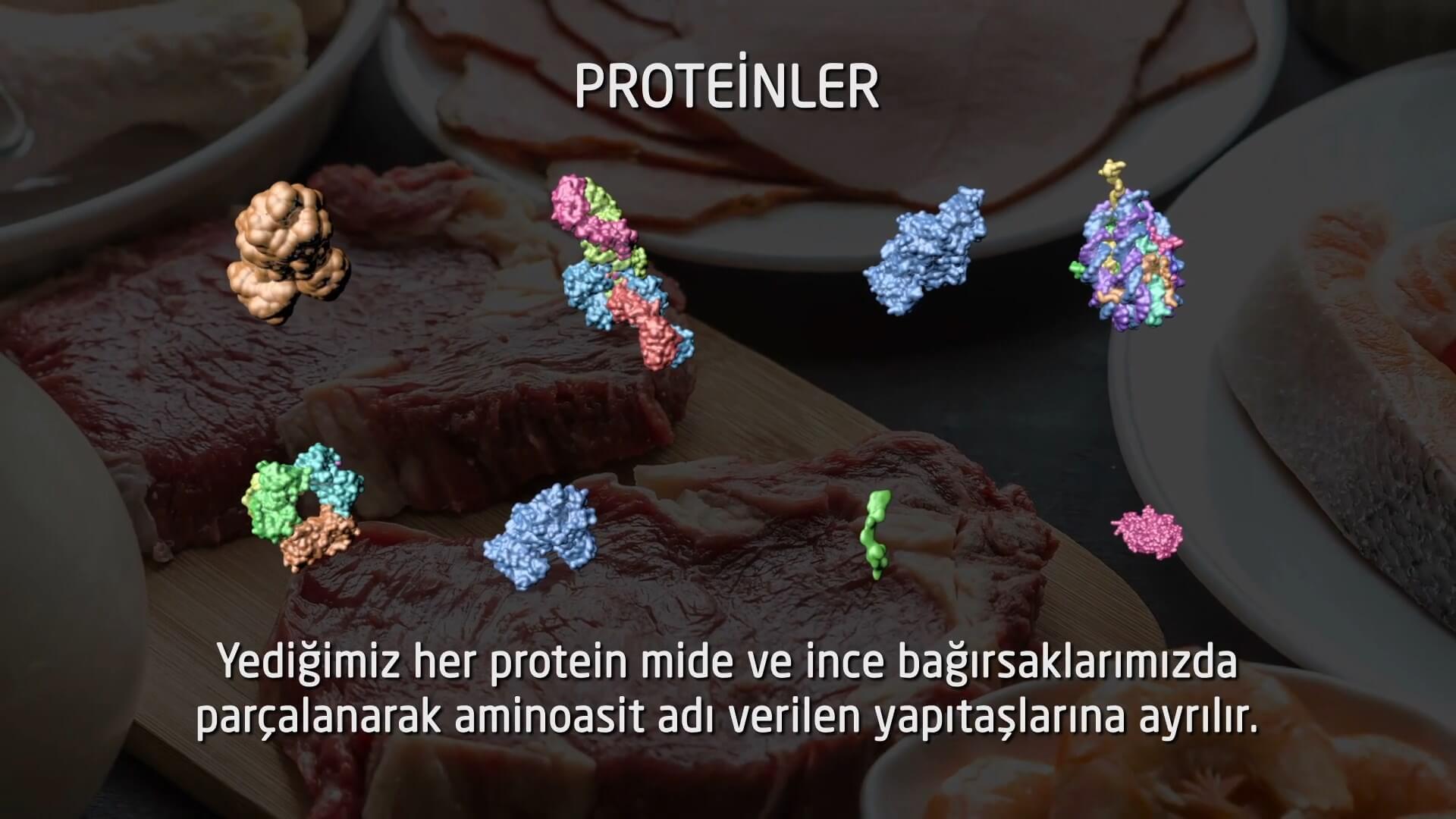Proteindeki Yazılım İnsanoğlunun Maddesel Yapısı Belgesel Animasyon Film 5 - Proteindeki Yazılım, İnsanoğlunun Maddesel Yapısıyla İlgili Keşifleri