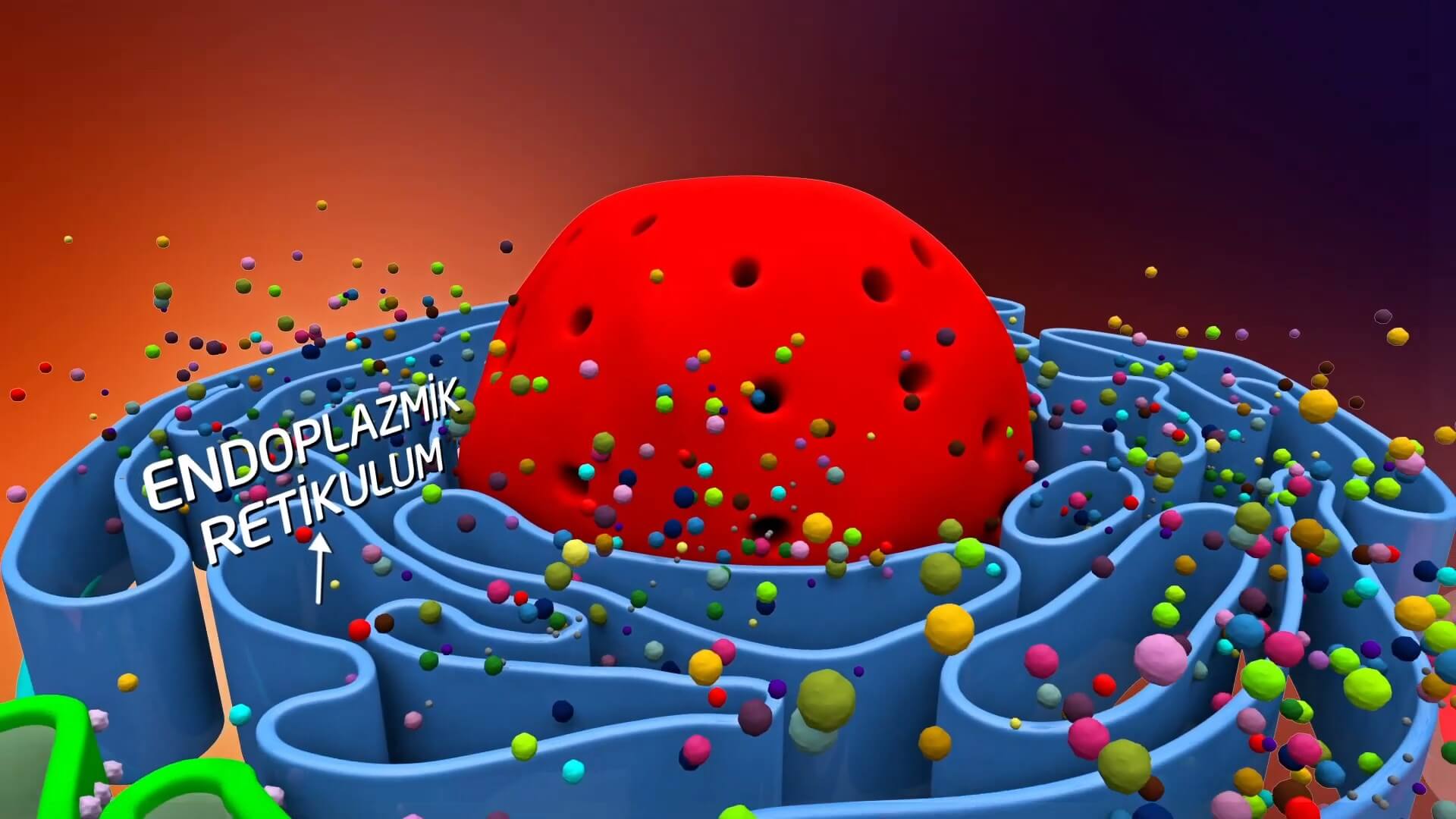Proteindeki Yazılım İnsanoğlunun Maddesel Yapısı Belgesel Animasyon Film 8 - Proteindeki Yazılım, İnsanoğlunun Maddesel Yapısıyla İlgili Keşifleri